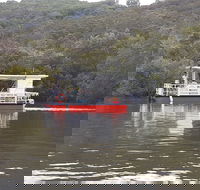 Mount Warning Tours - Rental Cars