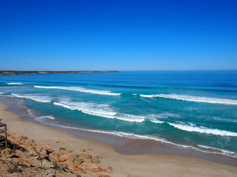 Neptunes Surf Coaching - Rental Cars 2