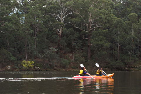 Parramatta Rowboat Kayak Canoe Stand-up Boards Hire - Rental Cars 1
