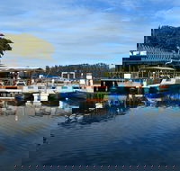 Paradise Marina - Rental Cars