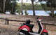 Scooters On Straddie - thumb 2