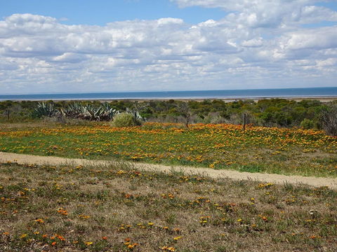 Tiddy Widdy Beach Reserve - Rental Cars 0