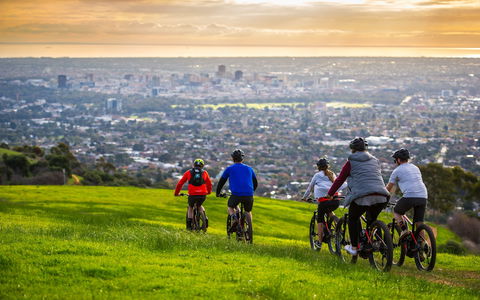 WILL RIDE | E-bike Hire - Rental Cars 0