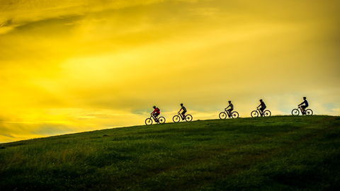WILL RIDE | E-bike Hire - Rental Cars 2