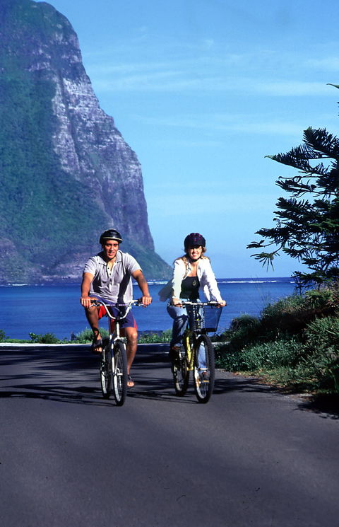 Wilsons Bike Hire - Rental Cars 0
