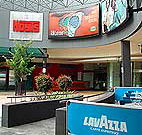 Highpoint Hotel - Rental Cars