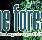 Forest Cafe  Bar - Rental Cars