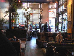 Blackcat - Rental Cars 1