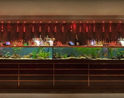 AB Hotel - Rental Cars 2