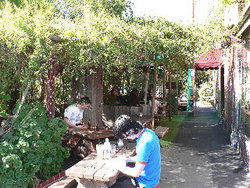 Blackcat - Rental Cars 3