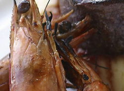 Nicks Bar And Grill - Rental Cars 2