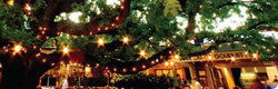 Neutral Bay NSW Rental Cars