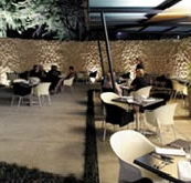 Carine Glades Tavern - Rental Cars