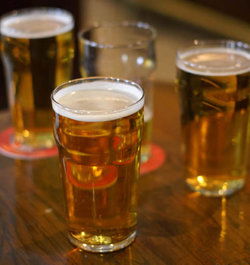 Karoola TAS Rental Cars