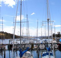 Oyster Cove Inn - Rental Cars