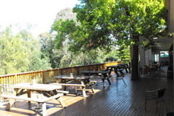 Berkshire Park NSW Rental Cars
