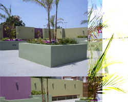 Charles Hotel - Rental Cars 2