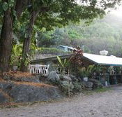 Ellis Beach Bar  Grill - Rental Cars