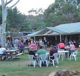 Bush Shack Brewery - Rental Cars