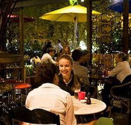 Treehouse Hotel - Rental Cars