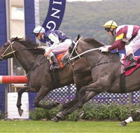 Gosford Race Club - Rental Cars