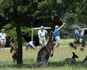 Newton Boyd NSW Rental Cars