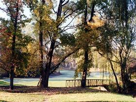 Mount Lofty Golf Club - Rental Cars 2