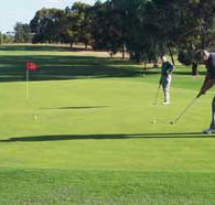 Waikerie Golf Club - Rental Cars