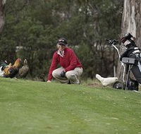 Tasmania Golf Club - The - Rental Cars