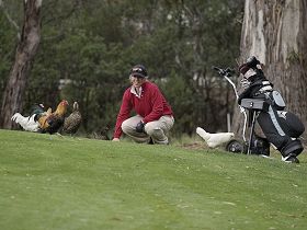 Tasmania Golf Club - The - Rental Cars 0