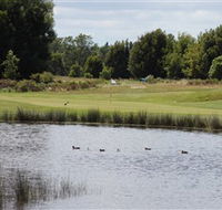 Llanherne Golf Club - Rental Cars