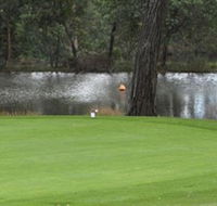 Hepburn Springs Golf Club - Rental Cars