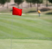 Gold Creek Country Club - Rental Cars