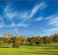 Murrumbidgee Country Club - Rental Cars