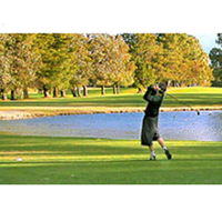 Yowani Country Club Incorporated - Rental Cars