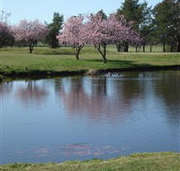 RMC Golf Club - Rental Cars