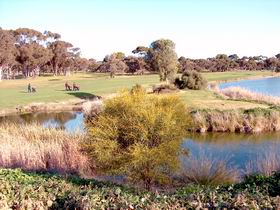 Maitland Golf Club Incorporated - Rental Cars 1