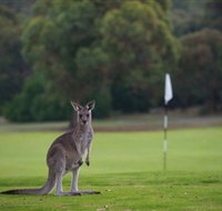Anglesea Golf Club - Rental Cars