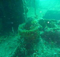 Wallaroo Scuba Club - Rental Cars