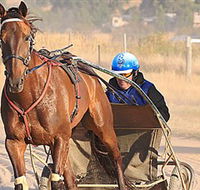 Ballarat  District Trotting Club - Rental Cars