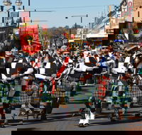 Australian Celtic Festival - Rental Cars