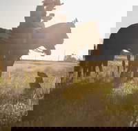 Balonne Cutting Horse Futurity - Rental Cars