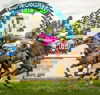 Bathurst Cup - Rental Cars