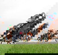 Christmas Cup Race Day - Rental Cars