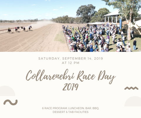 Collarenebri Races - Rental Cars 0