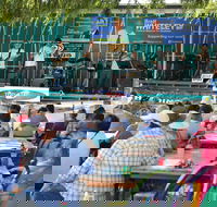 Festival in the Park - Rental Cars