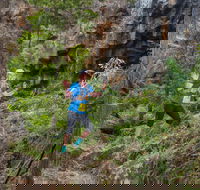 Goldrush Trail Runs - Rental Cars