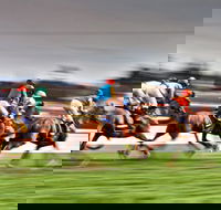 Grafton July Racing Carnival - Rental Cars