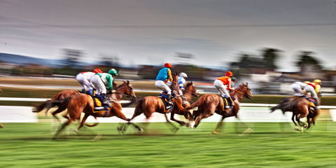 Grafton July Racing Carnival - Rental Cars 0