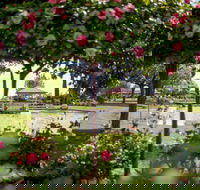 Griffith Spring Fest - Rental Cars